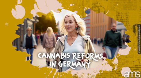 cannabis reforms in germany Marijuana Regulation in Germany