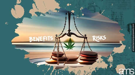 benefits risks cheap seeds pros and cons of cheap marijuana seeds