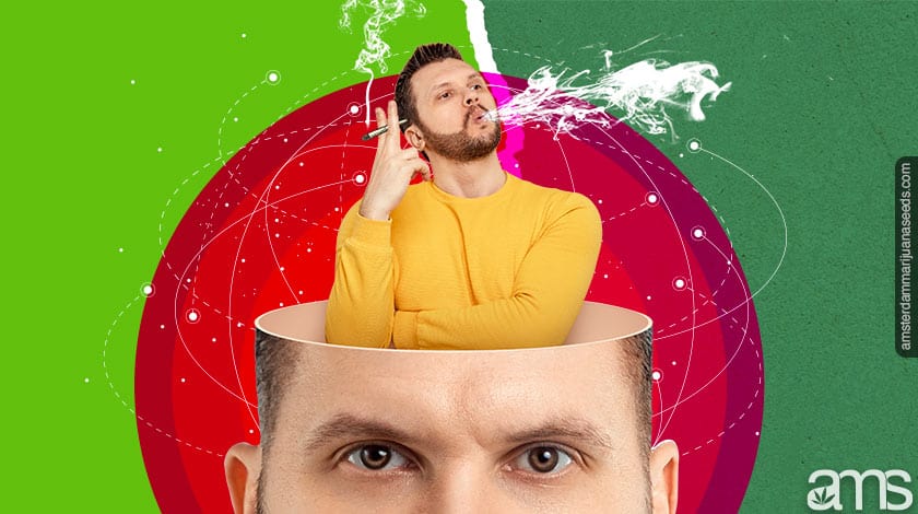 does weed help you focus