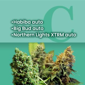 Indica Autoflower Combo